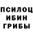 Галлюциногенные грибы прущие грибы Guilherme Schneider