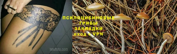 спиды Абдулино