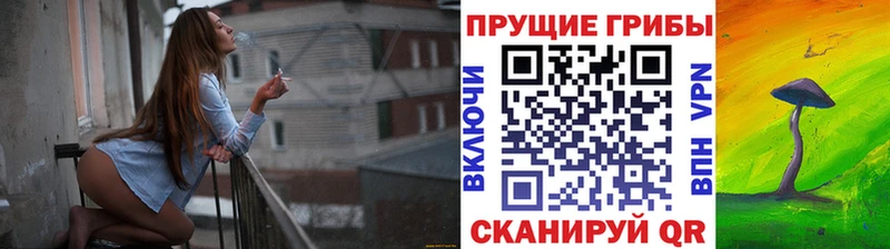 Галлюциногенные грибы прущие грибы  blacksprut рабочий сайт  Юхнов  где купить  